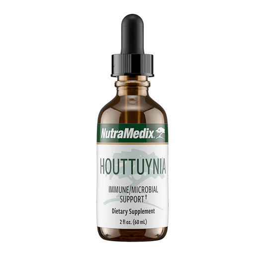 Houttuynia