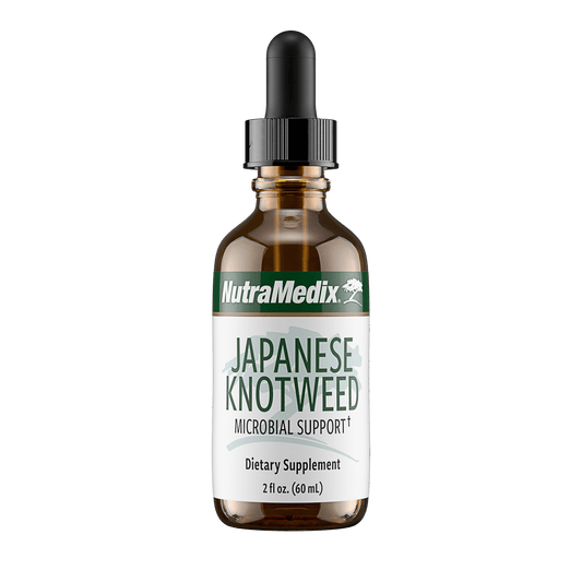 Japanese Knotweed HS Testing