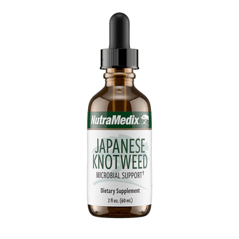 Japanese Knotweed HS Testing